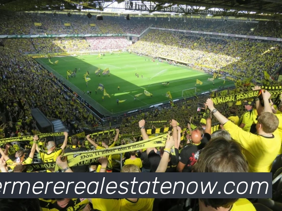 多媒体互动体验